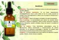EXTRACTO DE YERBANIZ 30 ML